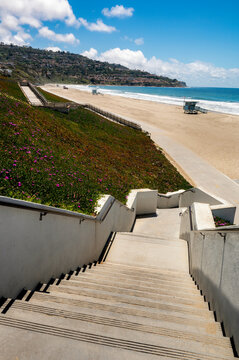 Sunny beach access with stairs and blooming ice plant flowers in Southern California