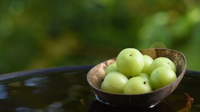 Phyllanthus emblica or Indian Gooseberry fruits placed on floating vessel against natural backdrop.