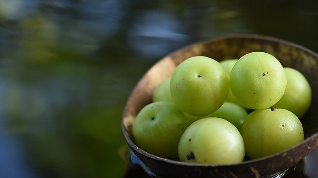 Phyllanthus emblica or Indian Gooseberry fruits placed on floating vessel against natural backdrop.