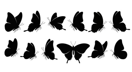 Dynamic butterfly silhouette collection illustrating various flight stages and wing movements, perfect for nature-themed graphic design projects and decorative elements © charli