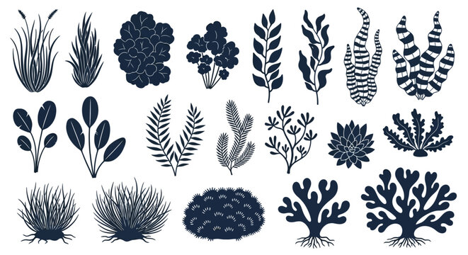 Detailed graphic set of diverse aquatic plant silhouettes, including various types of seaweed, coral, and underwater flora elements for nature-themed designs