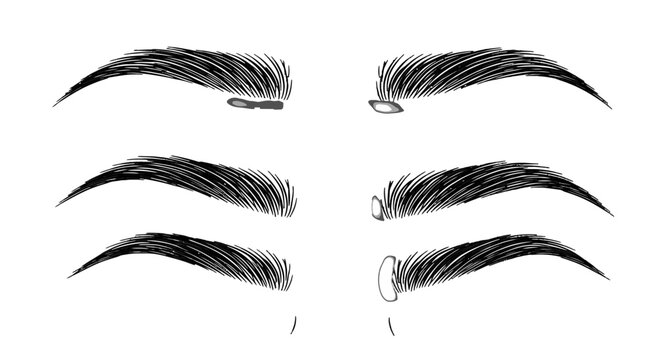 Detailed illustration of various eyebrow shapes and styles, showcasing different hair patterns and potential grooming techniques.