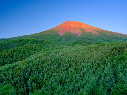 新緑の富士山と赤富士の絶景