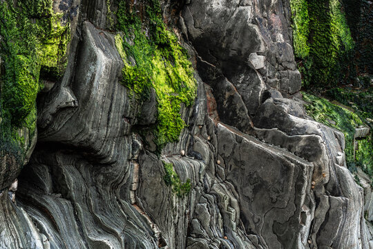 Abstract metamorphic rock texture with mossy stone pattern