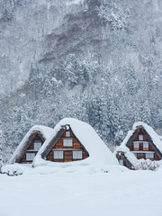岐阜_積雪する白川郷合掌集落の風景 © BSJ