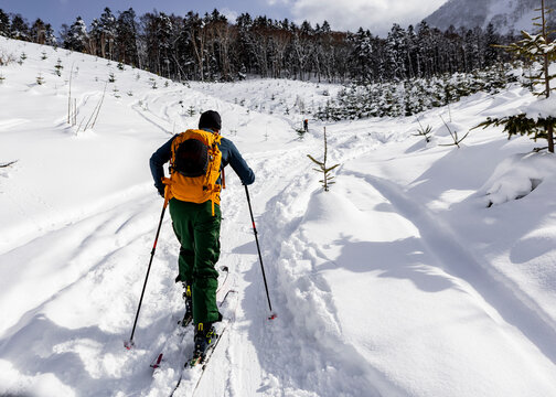Splitboard touring in deep Japan powder on snowy trail