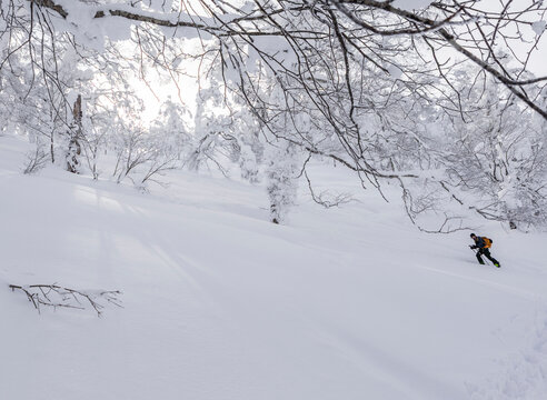 Splitboarder touring through deep powder in snowy Japan