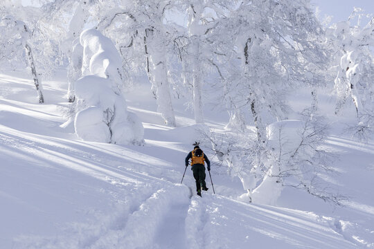Splitboard touring in Japan through deep powder snow