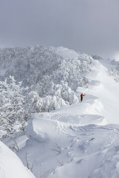 Splitboard touring in Japan on deep powder snow ridge
