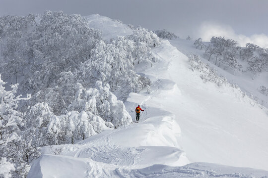 Splitboard touring in Japan on deep powder snow ridge