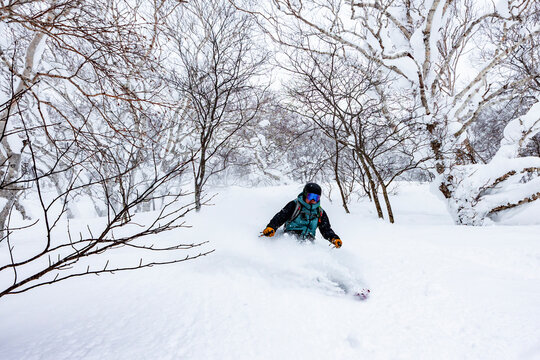 Skiing through powder snow in Hokkaido, Japan forest