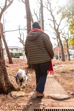 Person walking dog on autumn park path in warm clothing