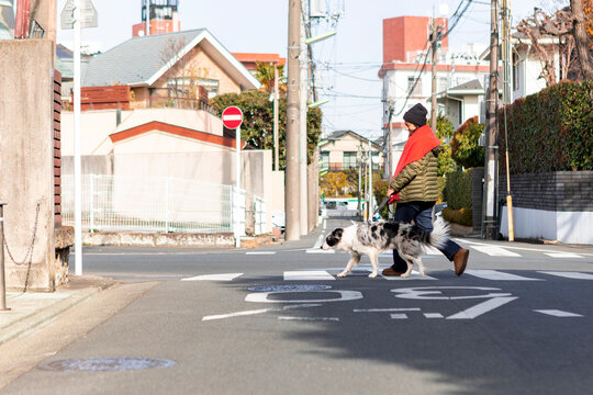 Person walking dog across quiet residential street in winter