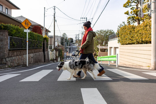 Woman walking dog on suburban crosswalk in winter