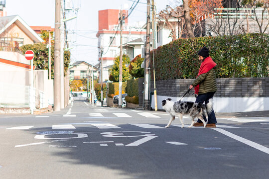 Person walking dog across quiet residential street in winter