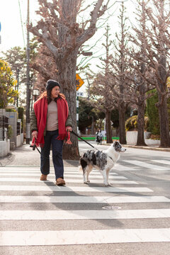 Woman walking dog across quiet neighborhood crosswalk