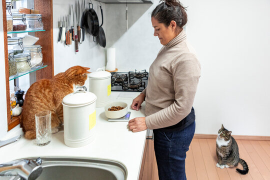 Woman measuring cat food in kitchen with curious pets