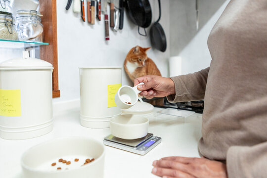 Person measuring pet food on kitchen scale with cat nearby