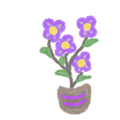 violet flowers in a pot
