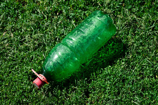 Discarded plastic bottle on grass highlighting pollution