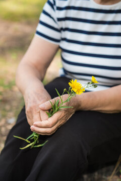 Elderly woman holding wildflower bouquet outdoors