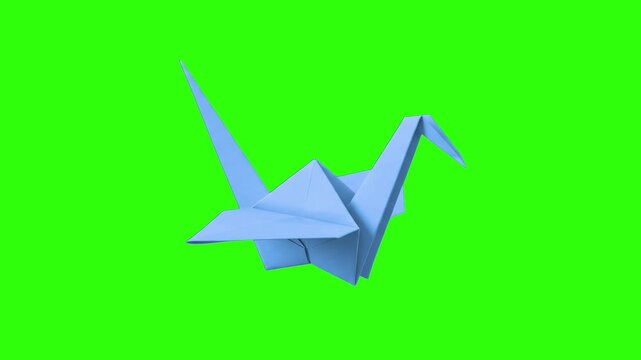 A 3D blue paper origami crane bird sits against a solid bright green screen background. Ideal for creative arts promo, papercraft tutorials, and chroma key motion graphics.