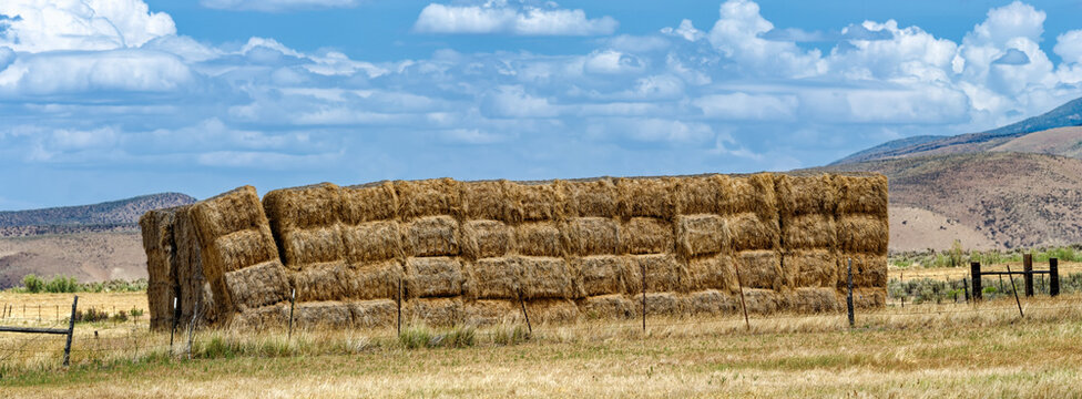 Panorama of a large stack of hay bales in a farm field near Lamoille, Nevada, USA