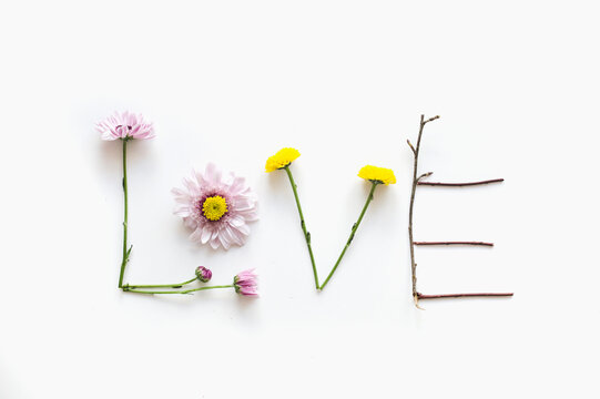 LOVE lettering made of flowers and branch flat lay mockup