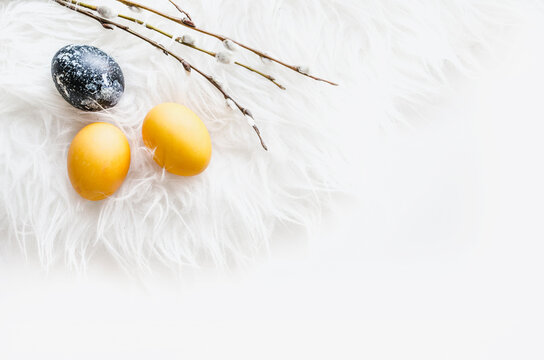 Pastel Easter egg on white feather background with copy space