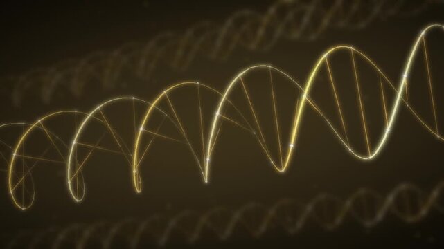 Rotating DNA Double Helix with Glowing Strands and Base Pairs seamless loop in vibrant gold tones
