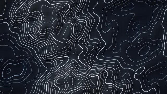 Morphing Topographic Contour Lines Glowing Elevation Map Abstract Motion Background Seamless Loop in bright slate tones