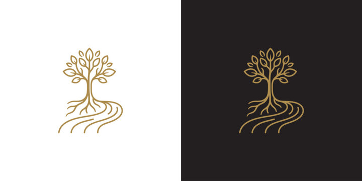 Golden tree with river or road roots logo design, elegant line art symbol on white and black backgrounds for branding