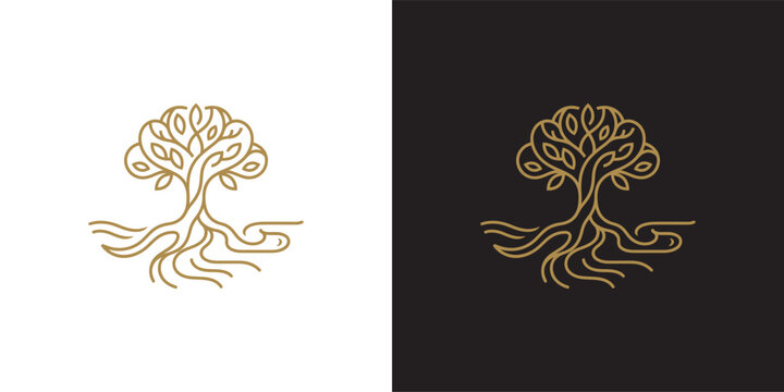Minimalist gold line art tree logo with deep roots design on black and white background for organic brand