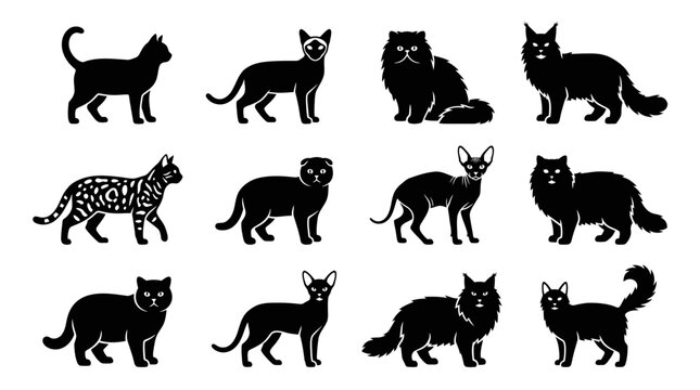 Set of Various Cat Breed Silhouettes and Icons.