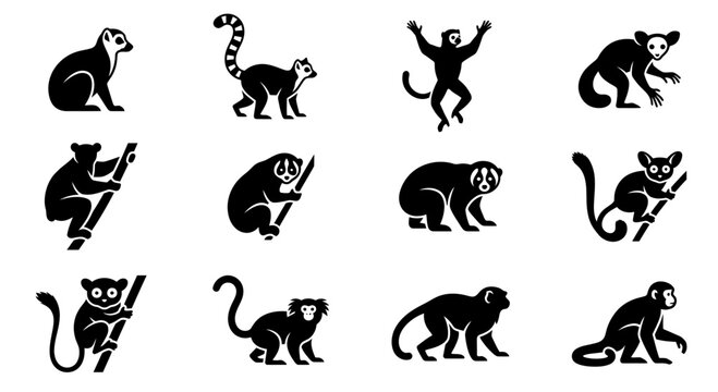 Collection of various monkey and lemur species in silhouette form.