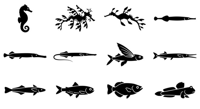 Diverse collection of fish and marine life silhouettes.