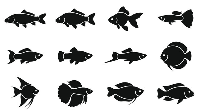 Diverse collection of freshwater fish silhouettes in various shapes and sizes.