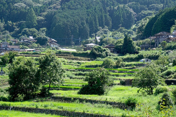 緑に覆われた里山風景 © 正行 北島