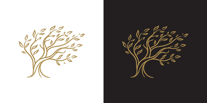 Elegant Golden Tree Logo Illustration with Flowing Branches on Split Black and White Backgrounds
