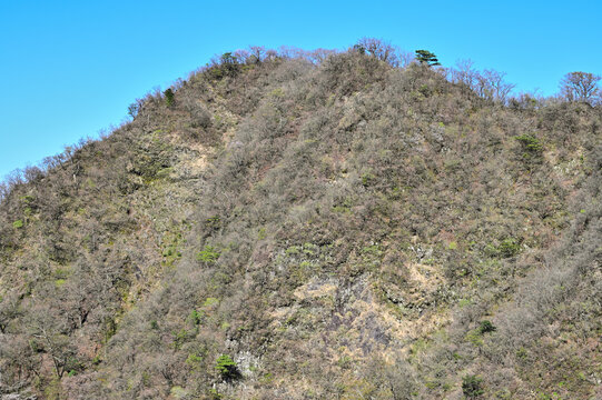 愛鷹山塊の蓬莱岳（蓬莱山）　天狗の畑展望地より望む呼子岳
