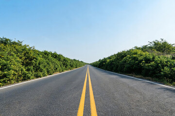 Naklejka premium A straight, empty asphalt road with double yellow lines runs through dense green bushes under a clear, cloudless sky.
