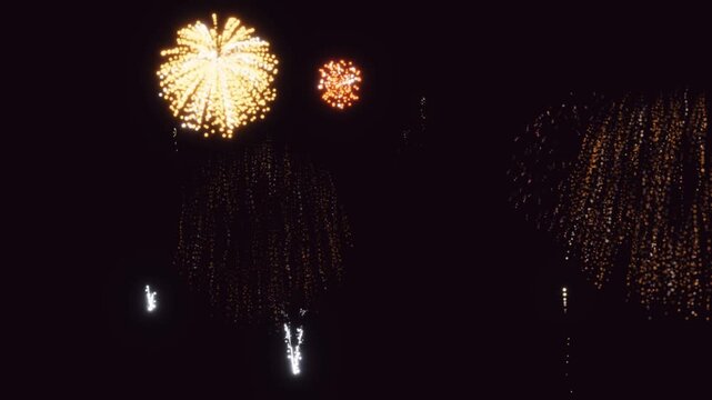 3D Render A dramatic and vibrant fireworks display against a deep black night sky.