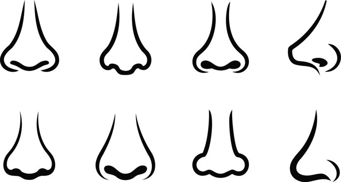 Collection of eight stylized black and white line art drawings of different human noses isolated on transparent background