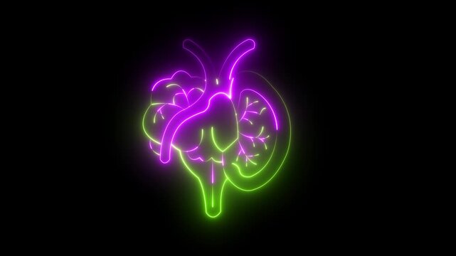 Neon, Glowing lung icon animation. lungs icon isolated.