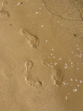 Footprints and tire tracks in wet sand on river beach, human trace concept