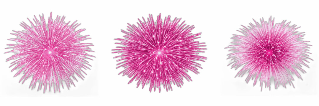 Pink fluffy flower pom-poms set isolated on white background, decorative abstract floral bursts and vibrant design assets for graphic design
