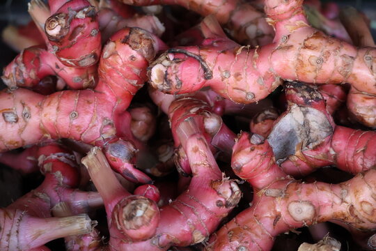 Red ginger root natural spice fresh herbal healthy ingredient