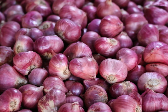 Pile of fresh shallots displaying natural color and texture
