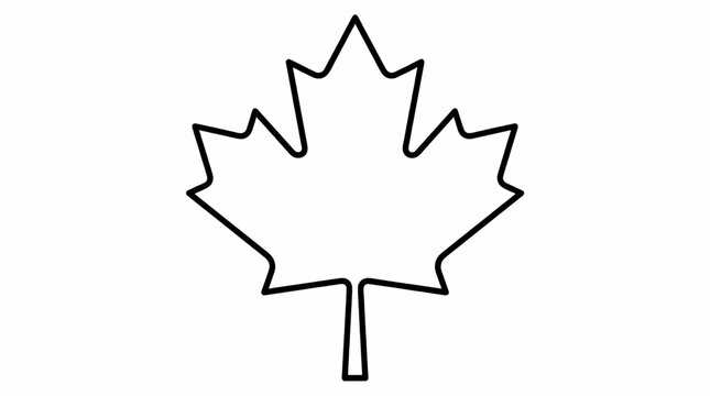 Stylized Maple Leaf Outline, Black and White Vector Illustration, Simple Graphic Element for Coloring Pages and Design