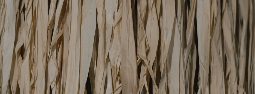 Dry raffia straw strips texture close up for tropical design backgrounds